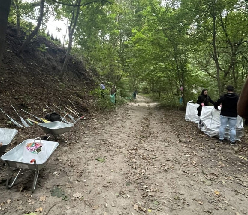 Uczestnicy Gry Ekologicznej sprzątający wąwóz w Kazimierzu Dolnym