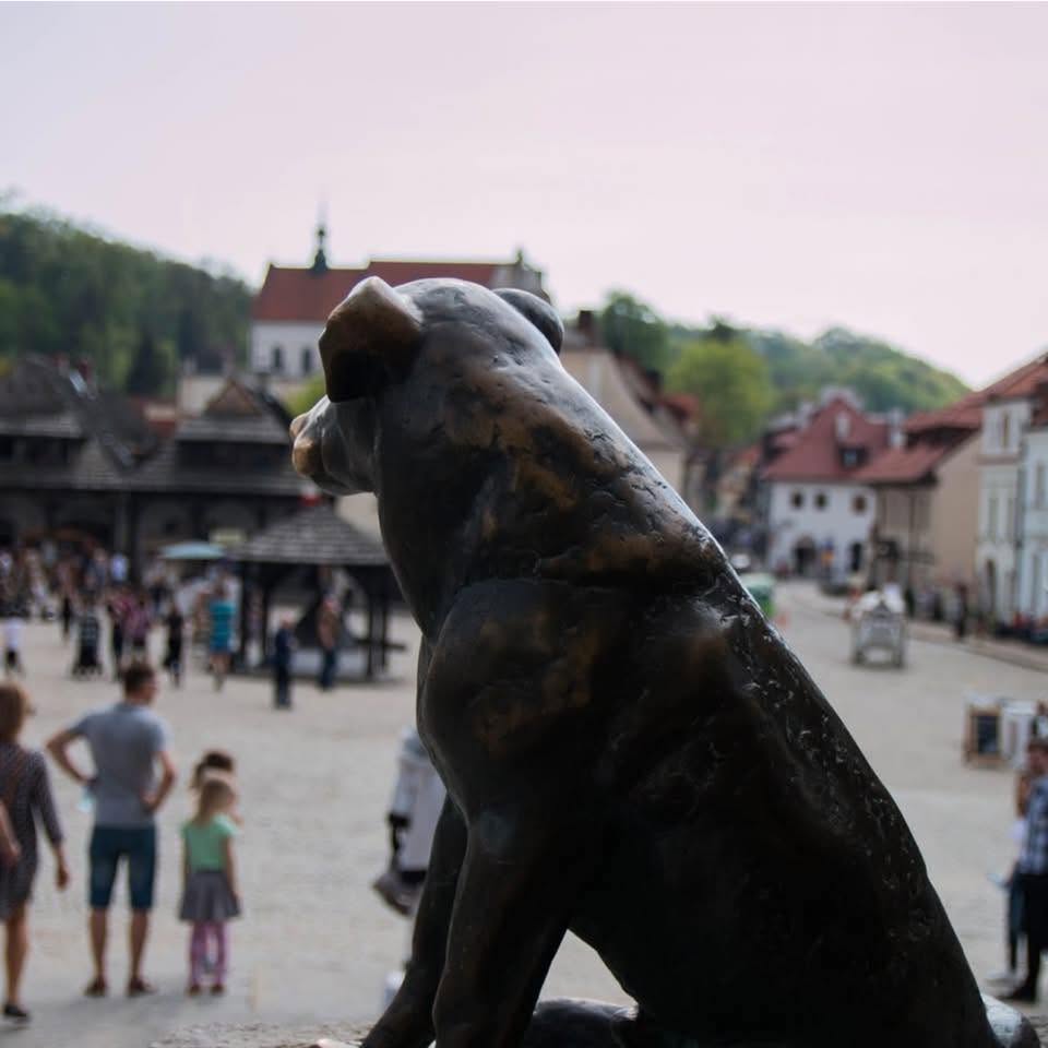Brązowa pomnik psa na tle miejskiego placu w Kazimierzu Dolnym z ludźmi i zabytkowymi budynkami.